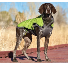 Pet Stages Telluride 2-In-1 Coat Green XS