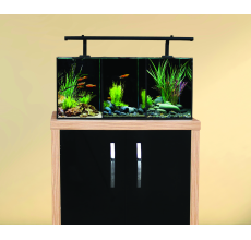 Aqua One Betta Trio Aquarium 32L 55x25x25cm AQUARIUM ONLY