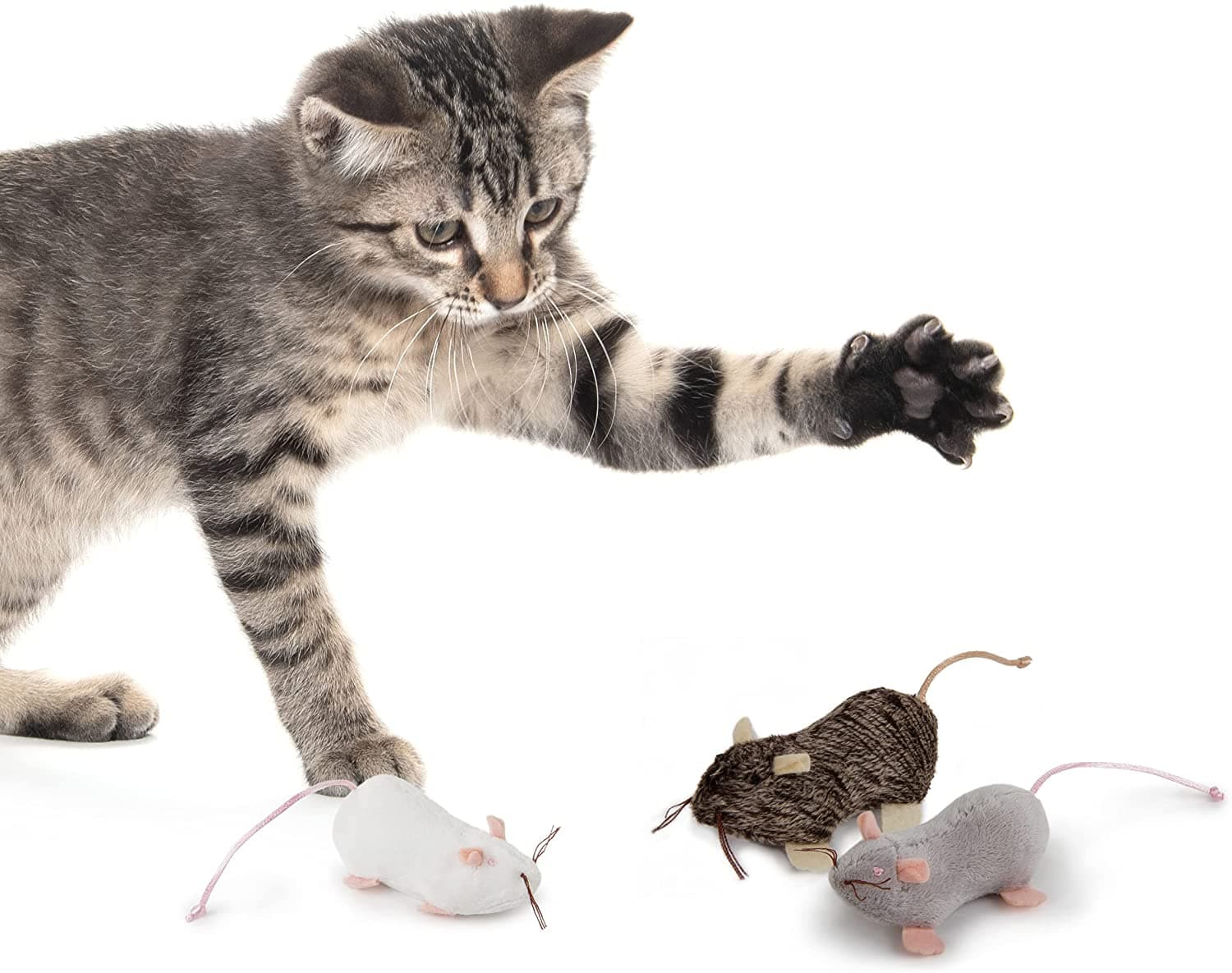 Petlinks® Lil' Creepers™ Refillable Catnip Cat Toys, Set of 3