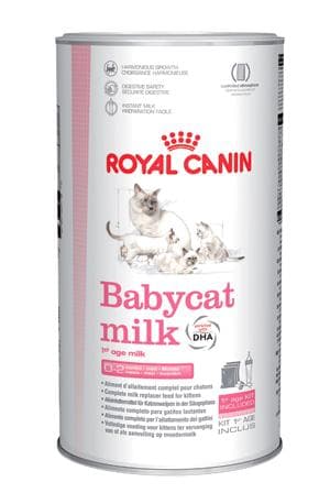 Royal Canin Feline Health Nutrition Babycat Milk 300 g