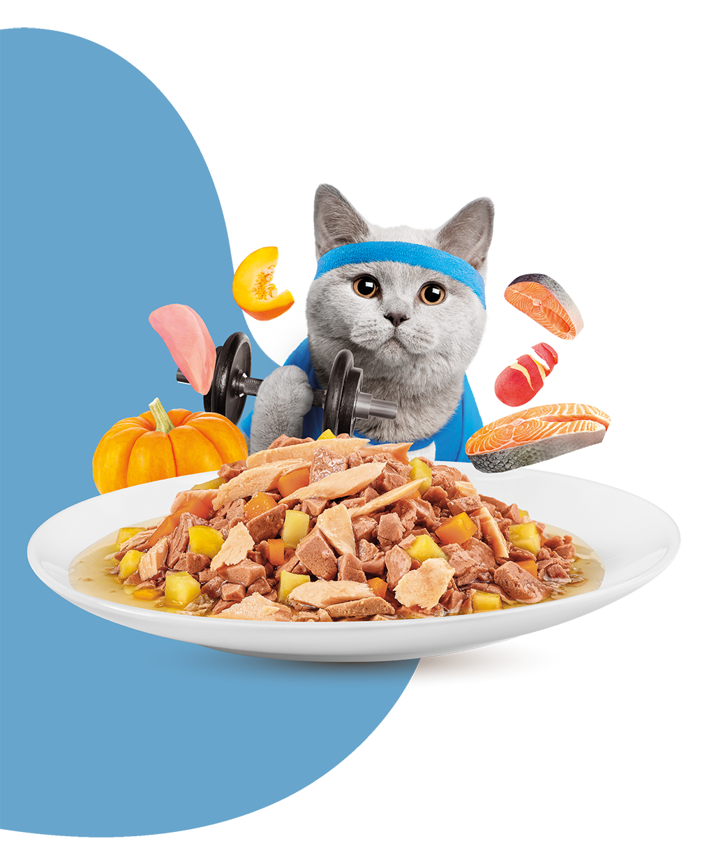 Moochie Cat Food Mince with Salmon - Weight Control Pouch 70g