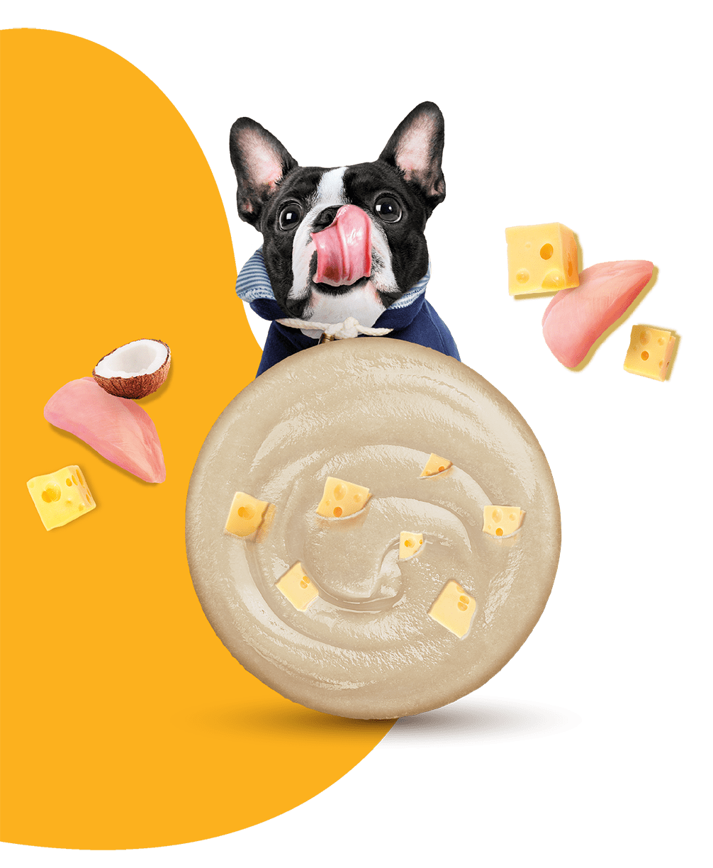 Moochie Dog Mousse - Chicken with Cheese Pouch 70g