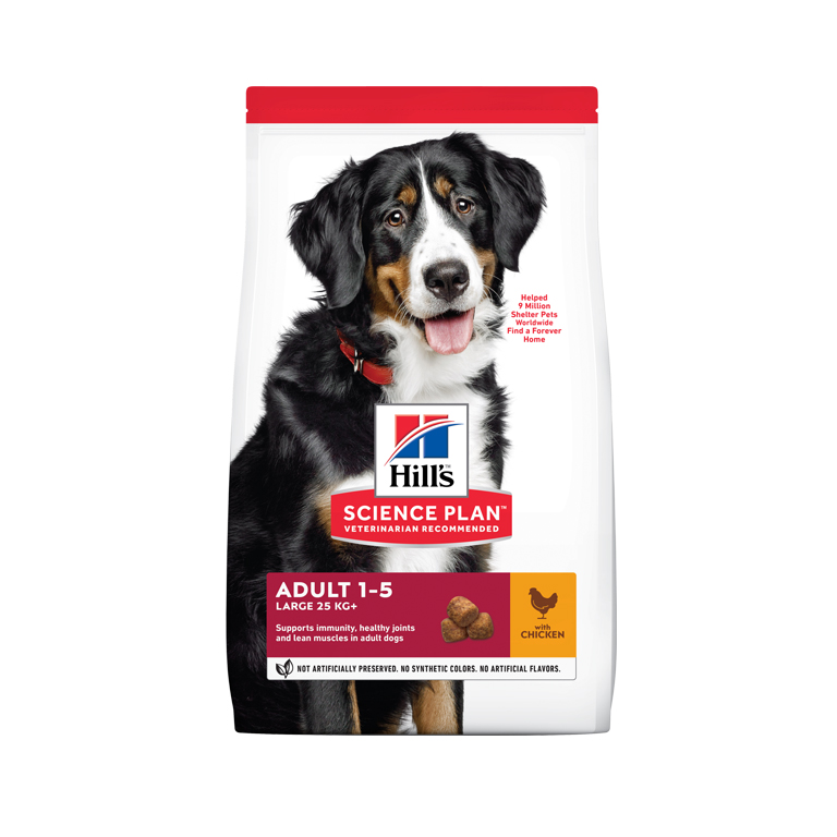 Hill's Science Plan Large Adult Dog Food with Chicken - 2.5kg