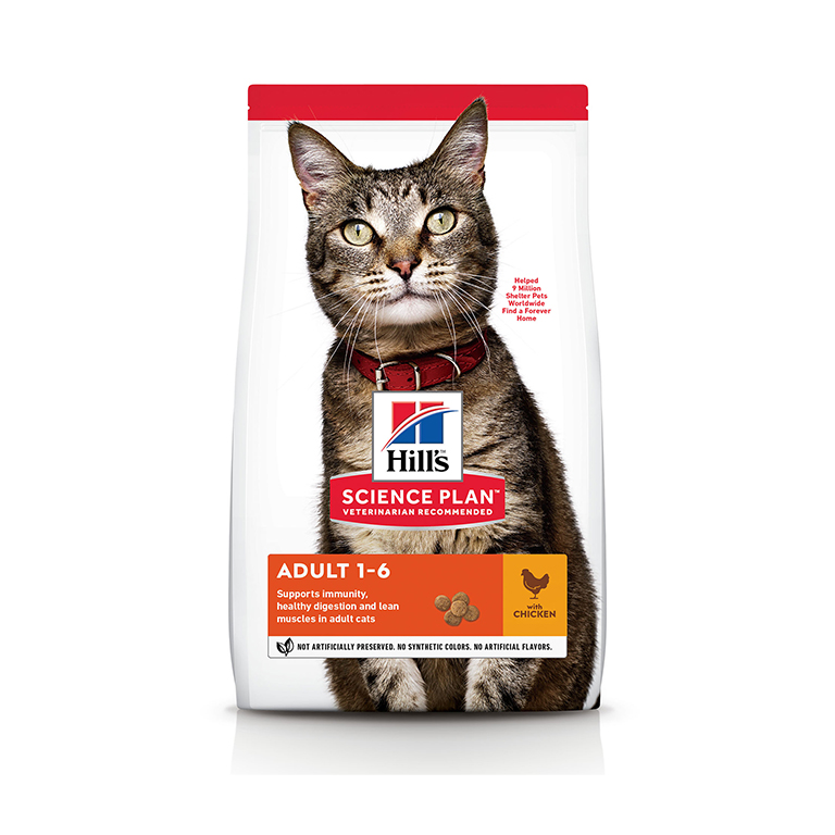 Hill's Science Plan Adult Cat Food with Chicken - 300g