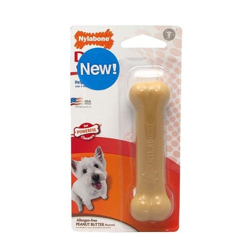 Nylabone Power Chew Peanut Butter Regular