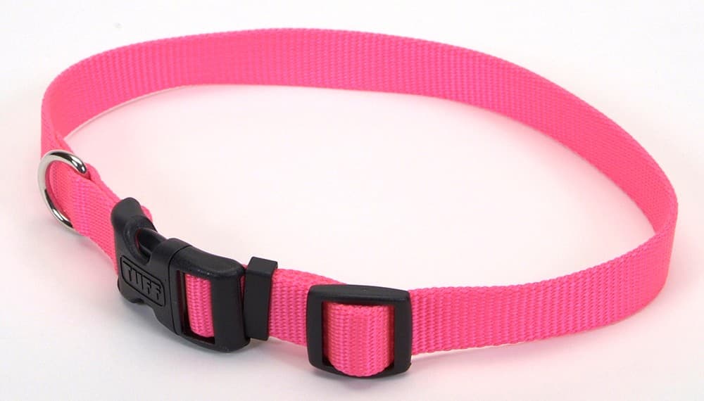 Coastal 1 and Tuff Dog Collar Large Neon Pink