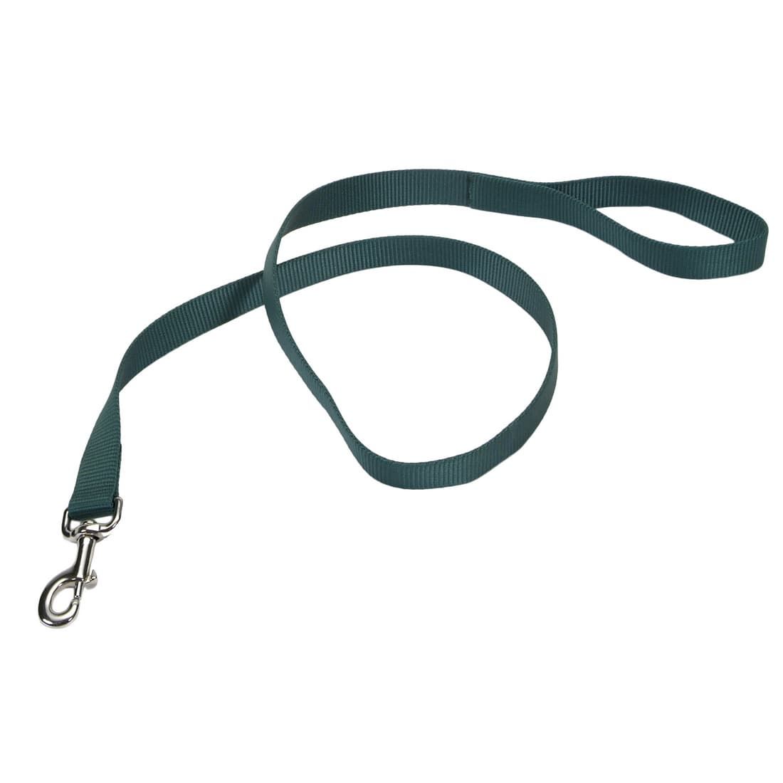 Coastal 1 and Dog Lead Hunter Green 4 Feet Long 1 and Wide