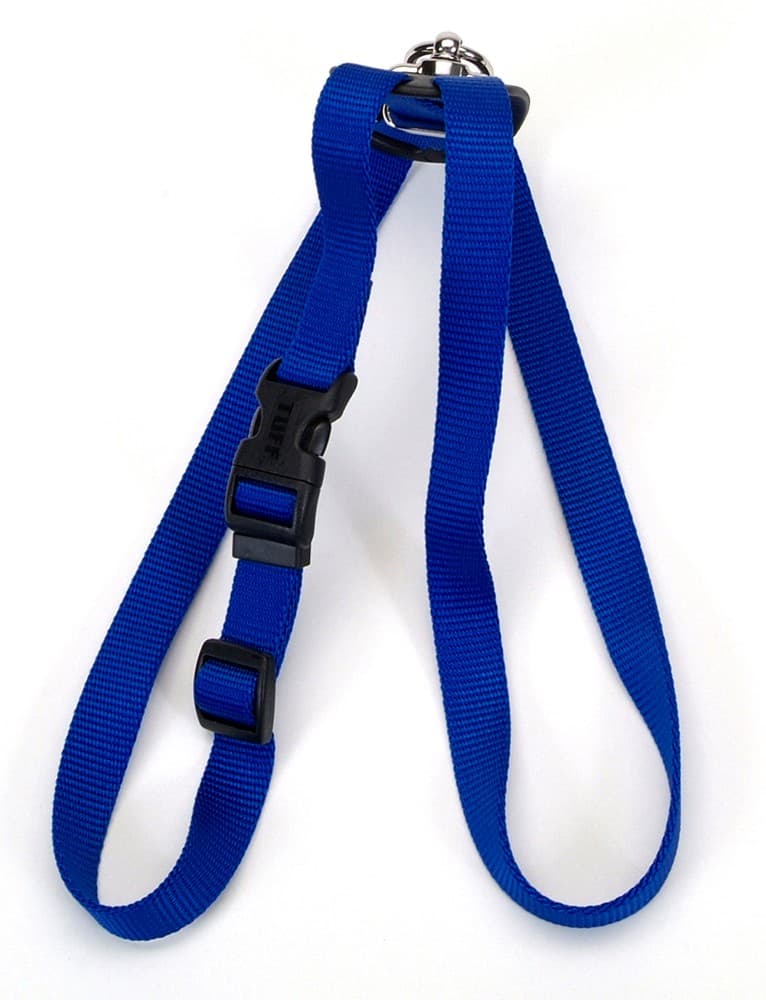 Coastal 1 and Size Right Harness Large Blue