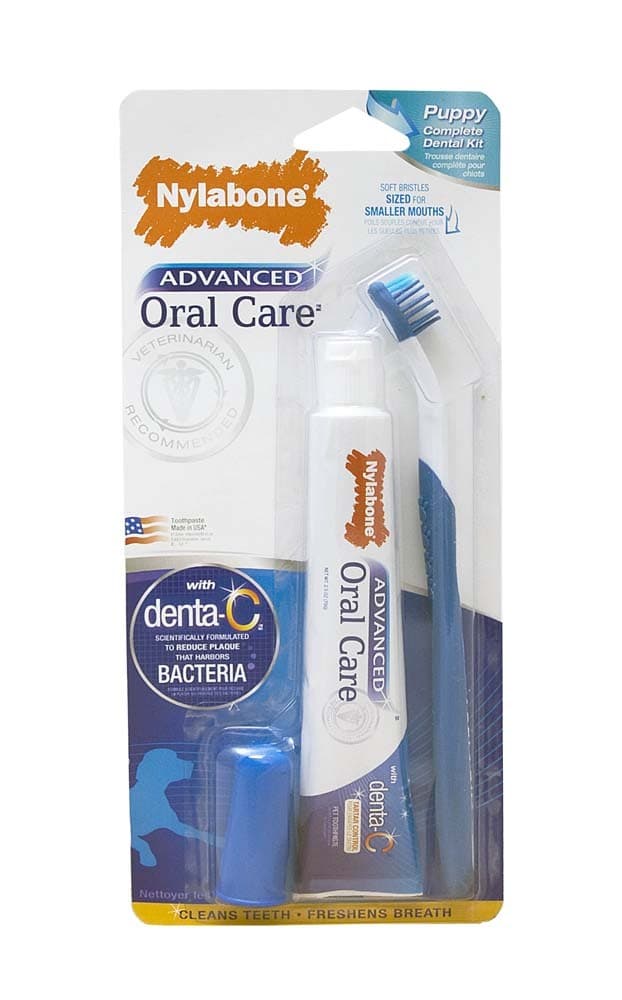 Nylabone Advanced Oral Care Puppy Dental Kit One Size