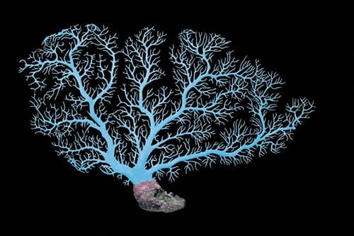 Aqua One Coral Fan Blue 60x41cm (L)