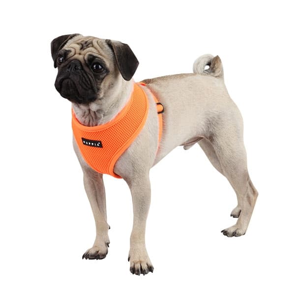 PUPPIA NEON SOFT HARNESS A ORANGE S Neck 10.2" Chest 12.6-17.3"