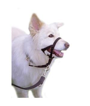 COA HSS Link Black- Small