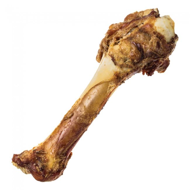 Shank Bone
