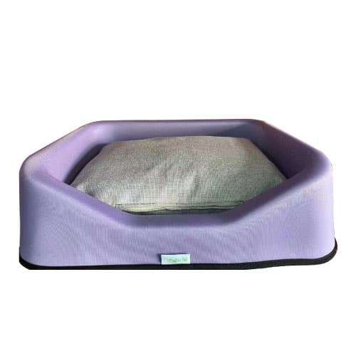 Nutrapet Comfy Space Station-Purple (31.0 x 33.0 x 18.0 cm)