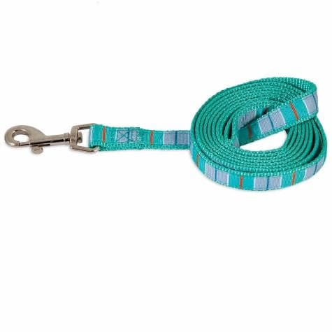 Petmate Aspen Pet Dog Leash 1"X6' Teal Stripe