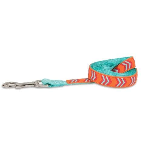 Petmate Rubber Dog Leash 3/4"X6' Orange Chevron
