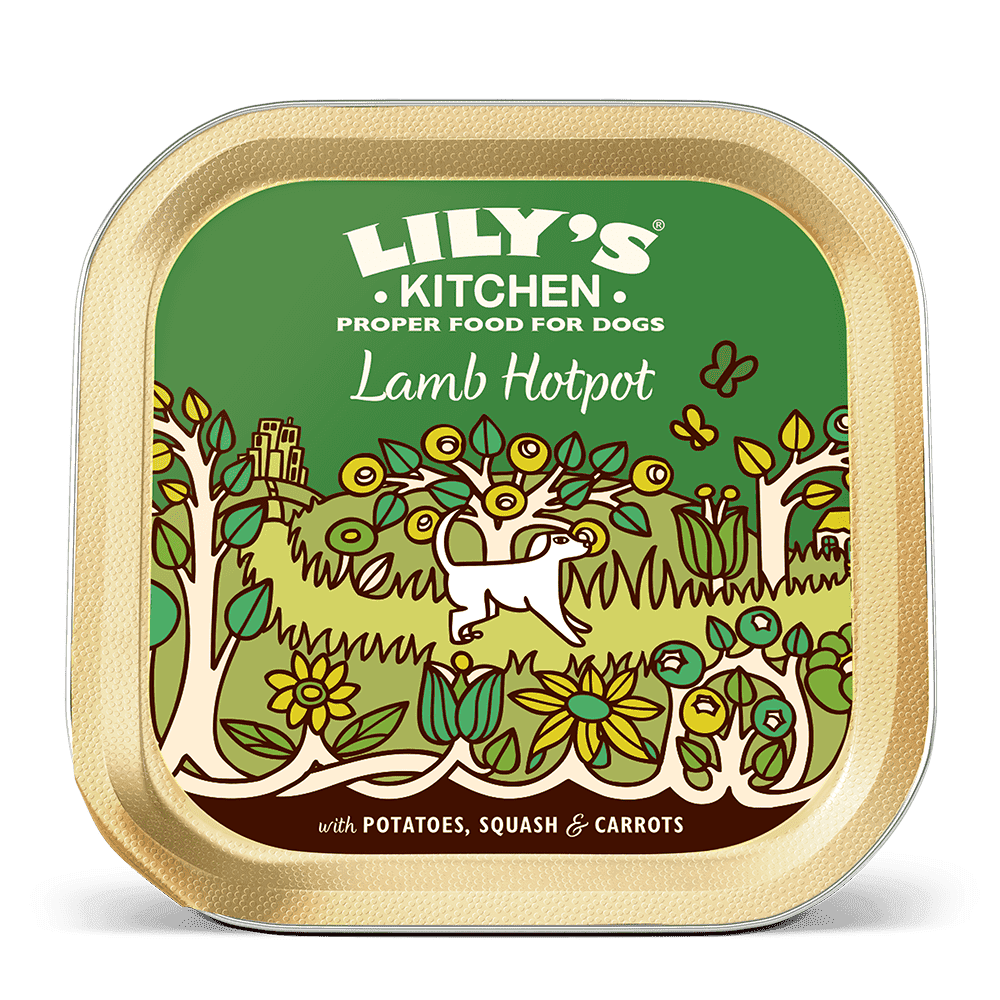 Lily's Kitchen Lamb Hotpot Wet Dog Food (150g)
