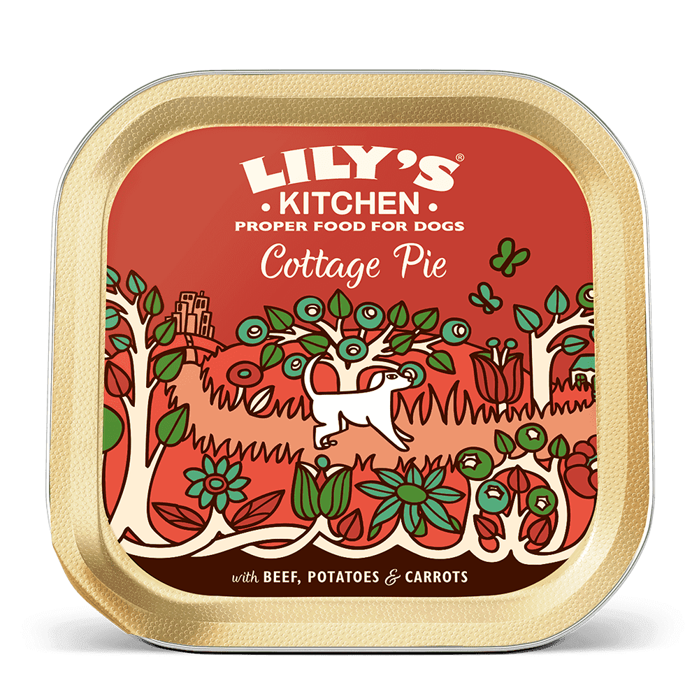 Lily's Kitchen Dog Cottage Pie Wet Dog Food (150g)