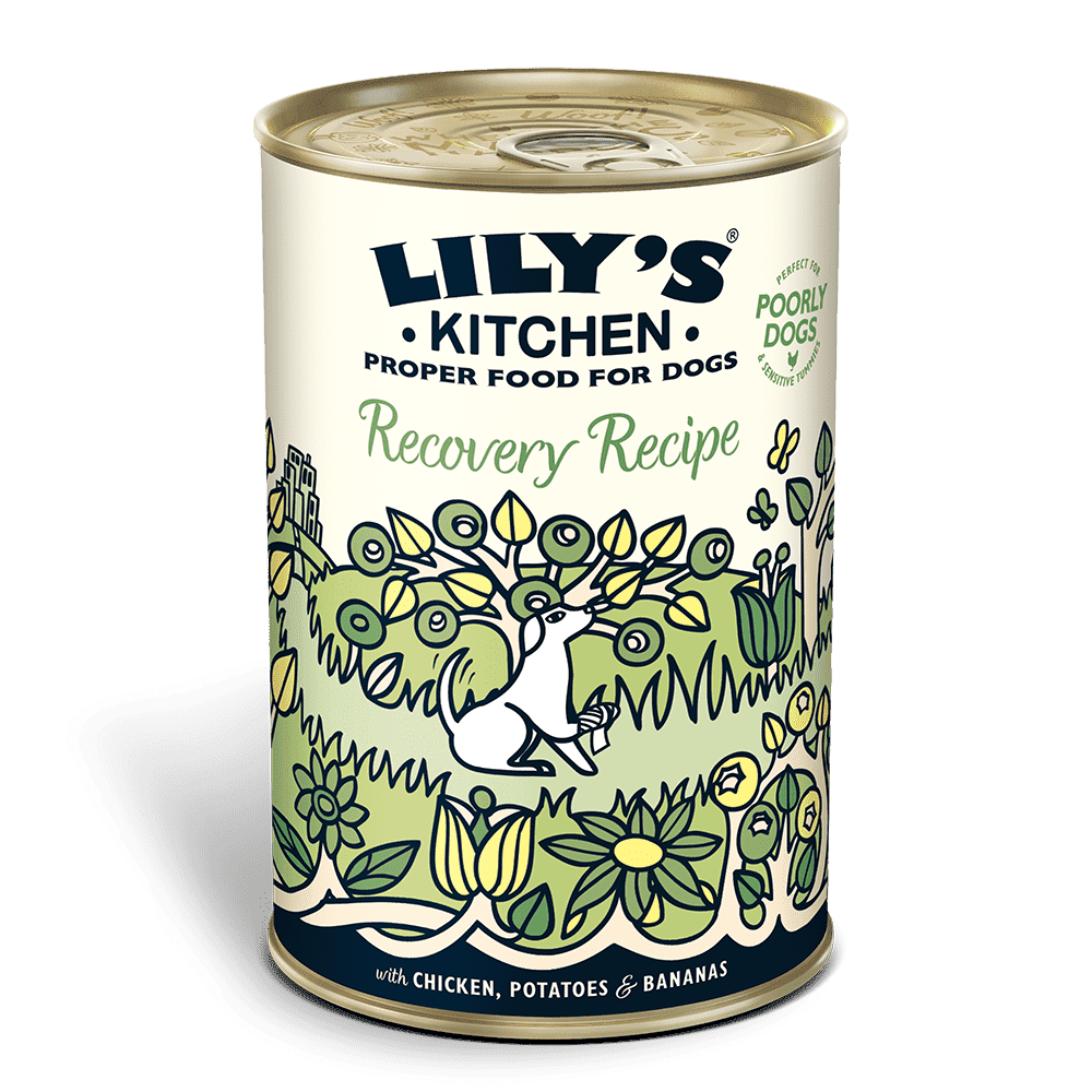 Lily's Kitchen Recovery Recipe Wet Dog Food (400g)
