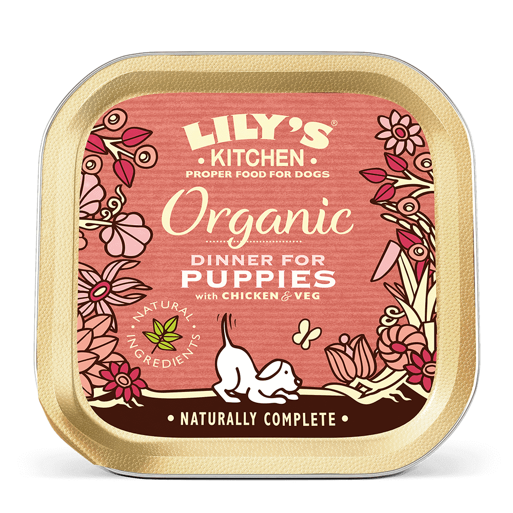 Lily's Kitchen Organic Dinner Wet Puppy Food (150g)