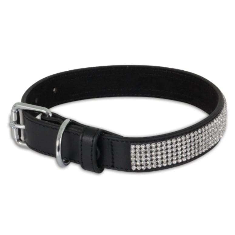 Petmate Bling Leather Dog Collar 3/8" X 12" Black