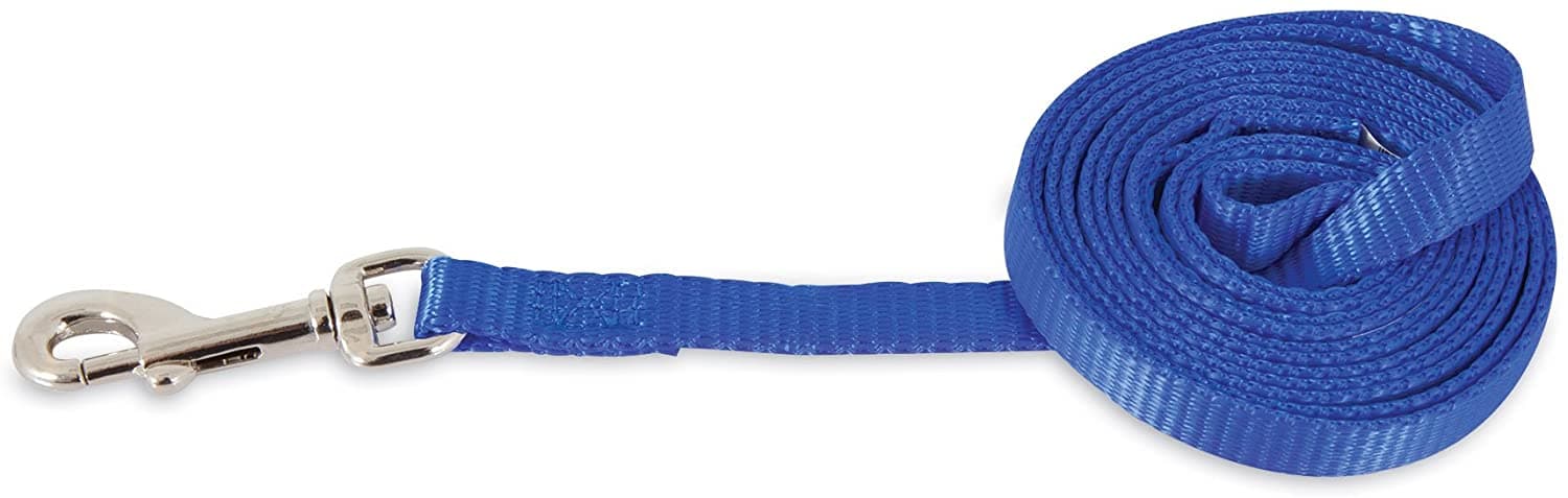 Petmate Aspen Pet Nylon Dog Lead 3/8" X 5' Royal Blue