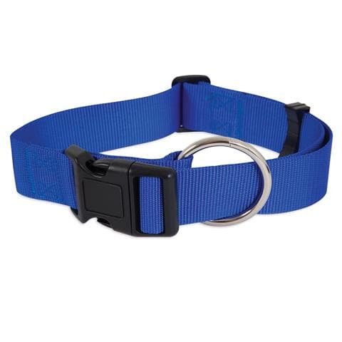 Petmate Nylon Adjustable Dog Collar 3/8"X8-14" Royal Blue