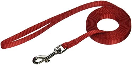 Petmate Nylon Dog Leash 5/8"X6' Red