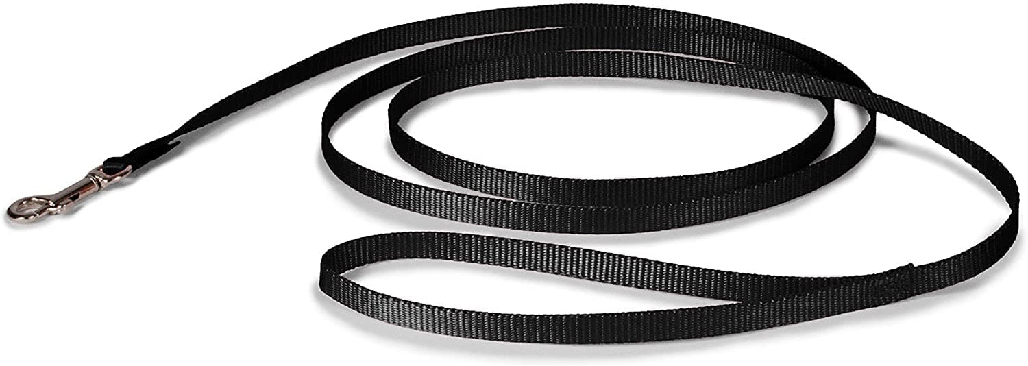 Petmate Nylon Dog Leash 5/8"X6' Black