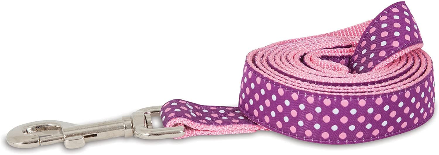 Petmate Aspen Pet Ribbon Overlay Dog Leash 1"X6' Dots Pink