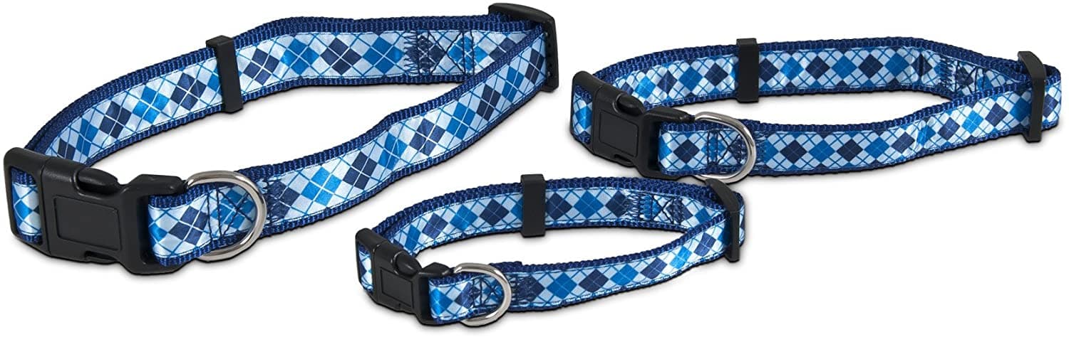 Petmate Aspen Pet Ribbon Overlay Dog Collar 1"X16-26" Harlequin Blue
