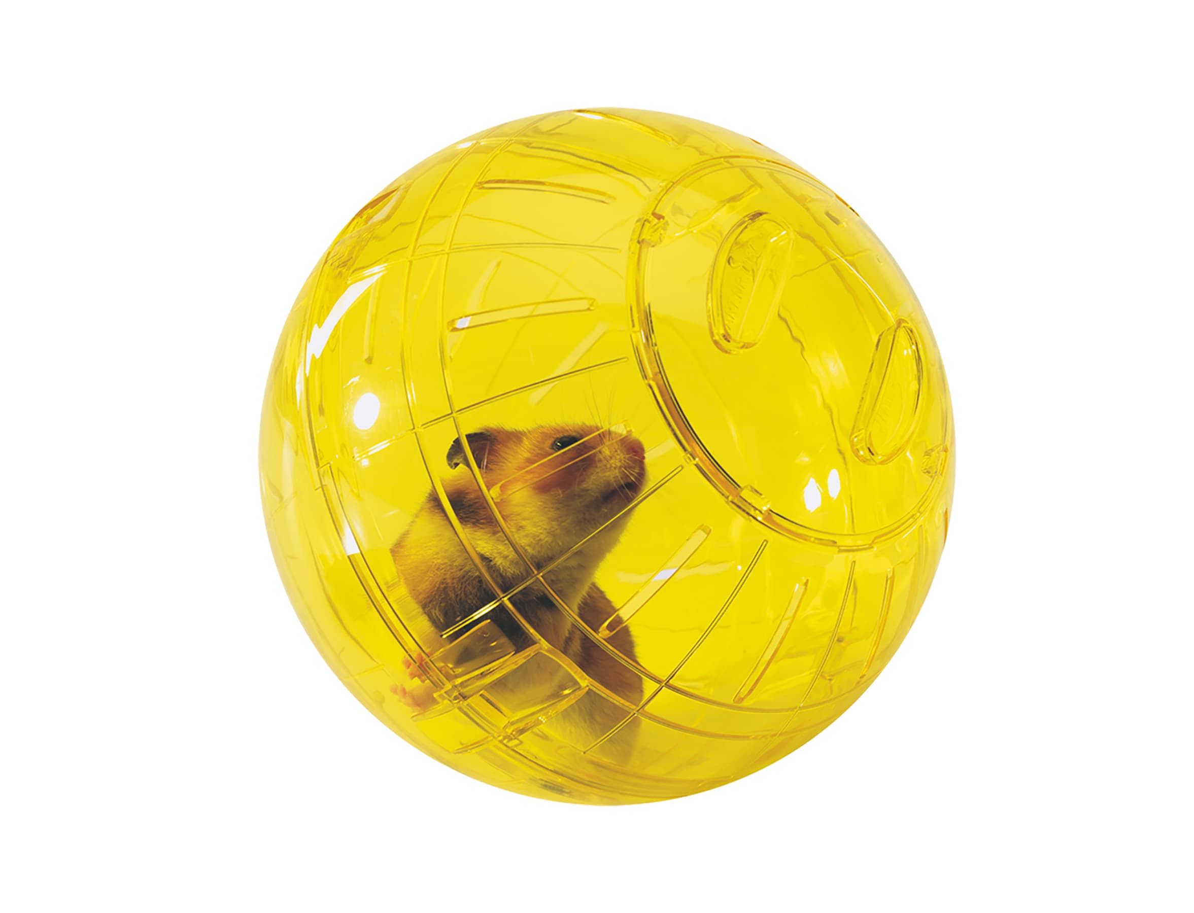 VADIGRAN Runner hamster 18 cm M