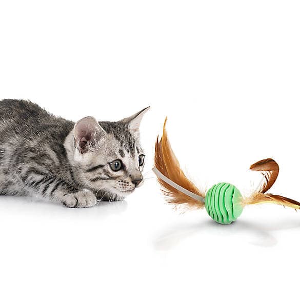 Petlinks® Rowdy Roller Dental Ball Toy