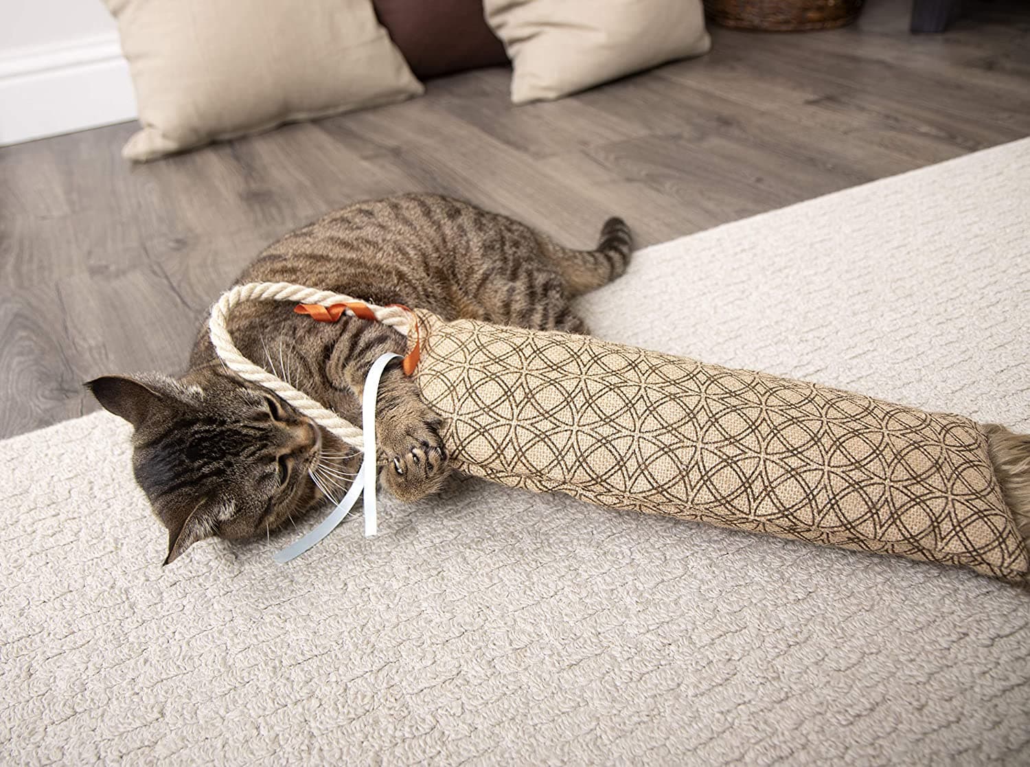 Petlinks® Claw Kicker™ Hanging Scratch Pillow and Cat Toy