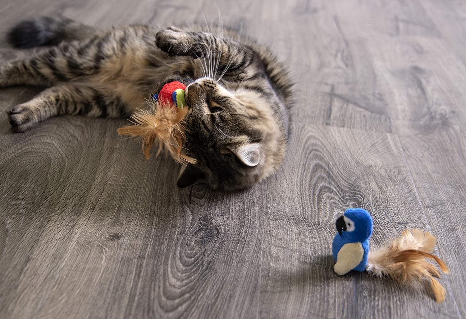 Petlinks® Parrot Tweet™ Electronic Sound Cat Toy